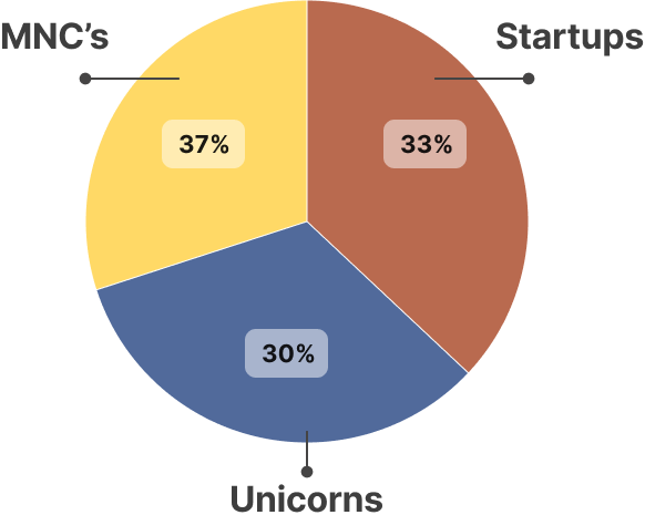 Placement Pie Chart